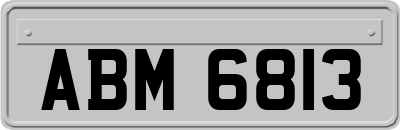 ABM6813