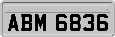 ABM6836