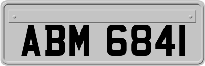 ABM6841