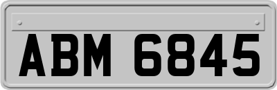ABM6845