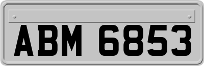 ABM6853