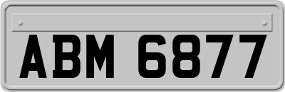 ABM6877