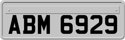 ABM6929