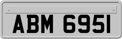 ABM6951
