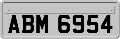 ABM6954
