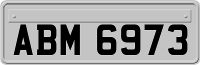 ABM6973