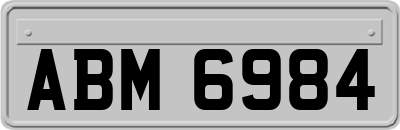 ABM6984