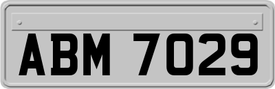 ABM7029