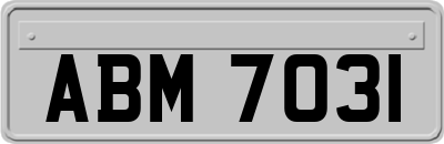 ABM7031