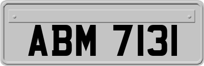 ABM7131