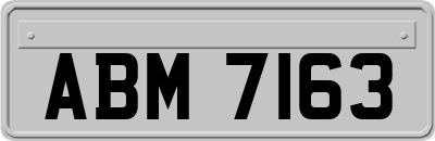 ABM7163
