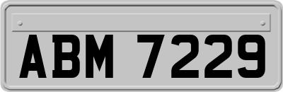 ABM7229