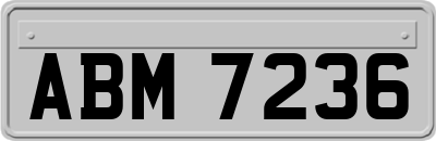 ABM7236