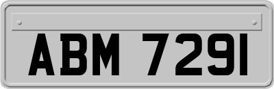 ABM7291