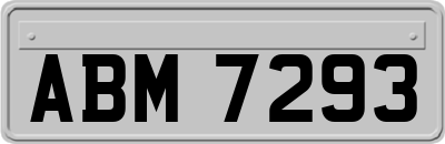 ABM7293