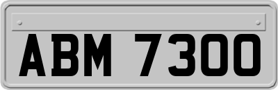 ABM7300