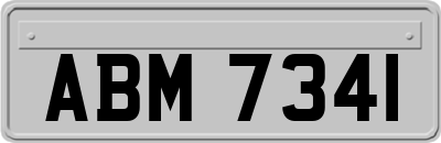 ABM7341