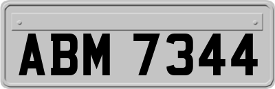 ABM7344