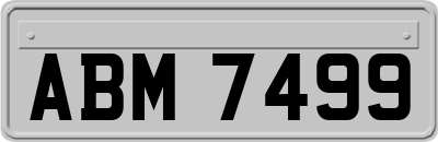 ABM7499