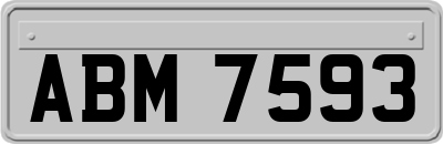ABM7593