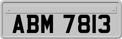 ABM7813