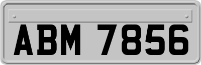 ABM7856