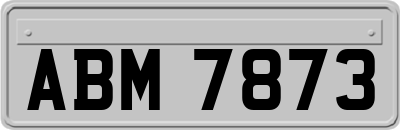 ABM7873