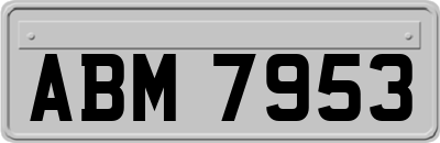 ABM7953