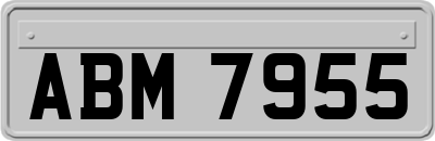 ABM7955