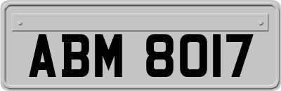 ABM8017