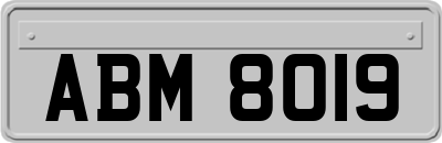 ABM8019
