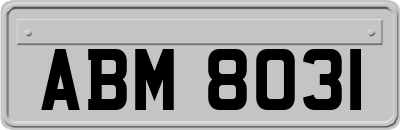 ABM8031