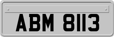 ABM8113