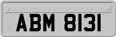 ABM8131