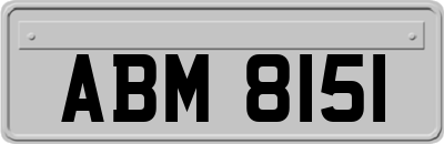 ABM8151