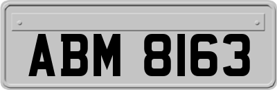 ABM8163