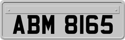 ABM8165
