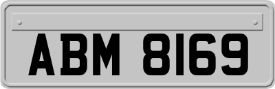 ABM8169