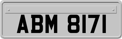 ABM8171