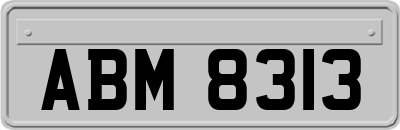 ABM8313