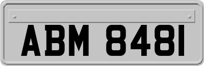 ABM8481