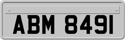 ABM8491