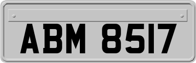 ABM8517