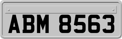 ABM8563