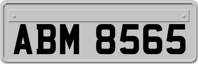 ABM8565