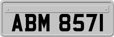 ABM8571