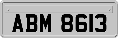 ABM8613