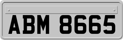 ABM8665