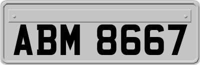 ABM8667