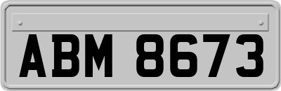 ABM8673